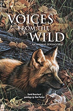 Voices From the Wild