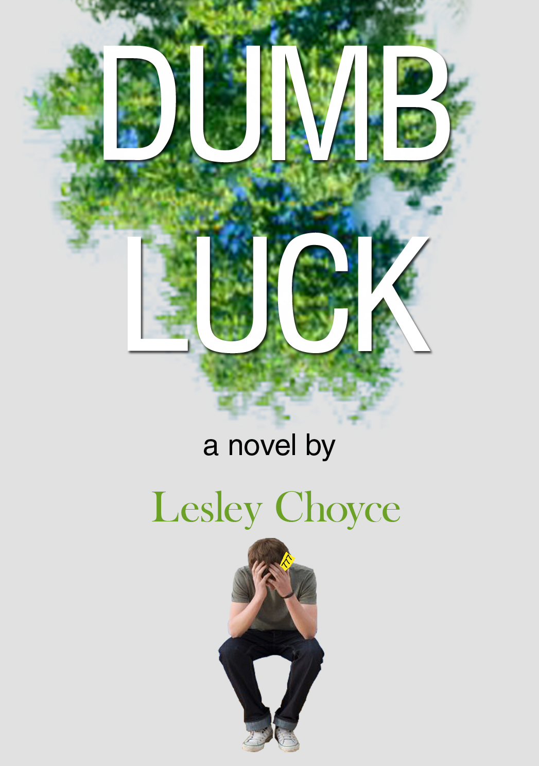 Dumb Luck  PDF